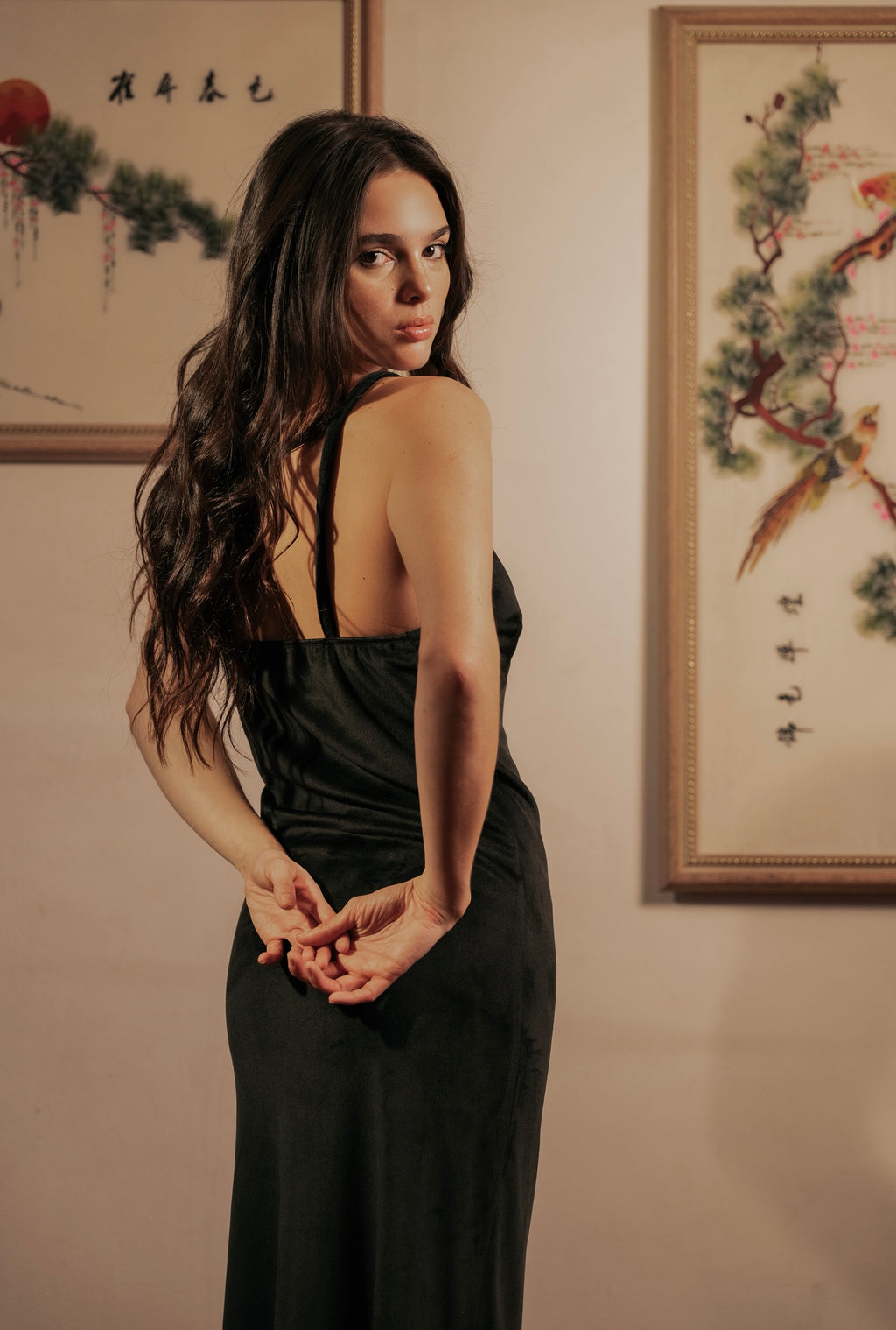Velvet Nightgown