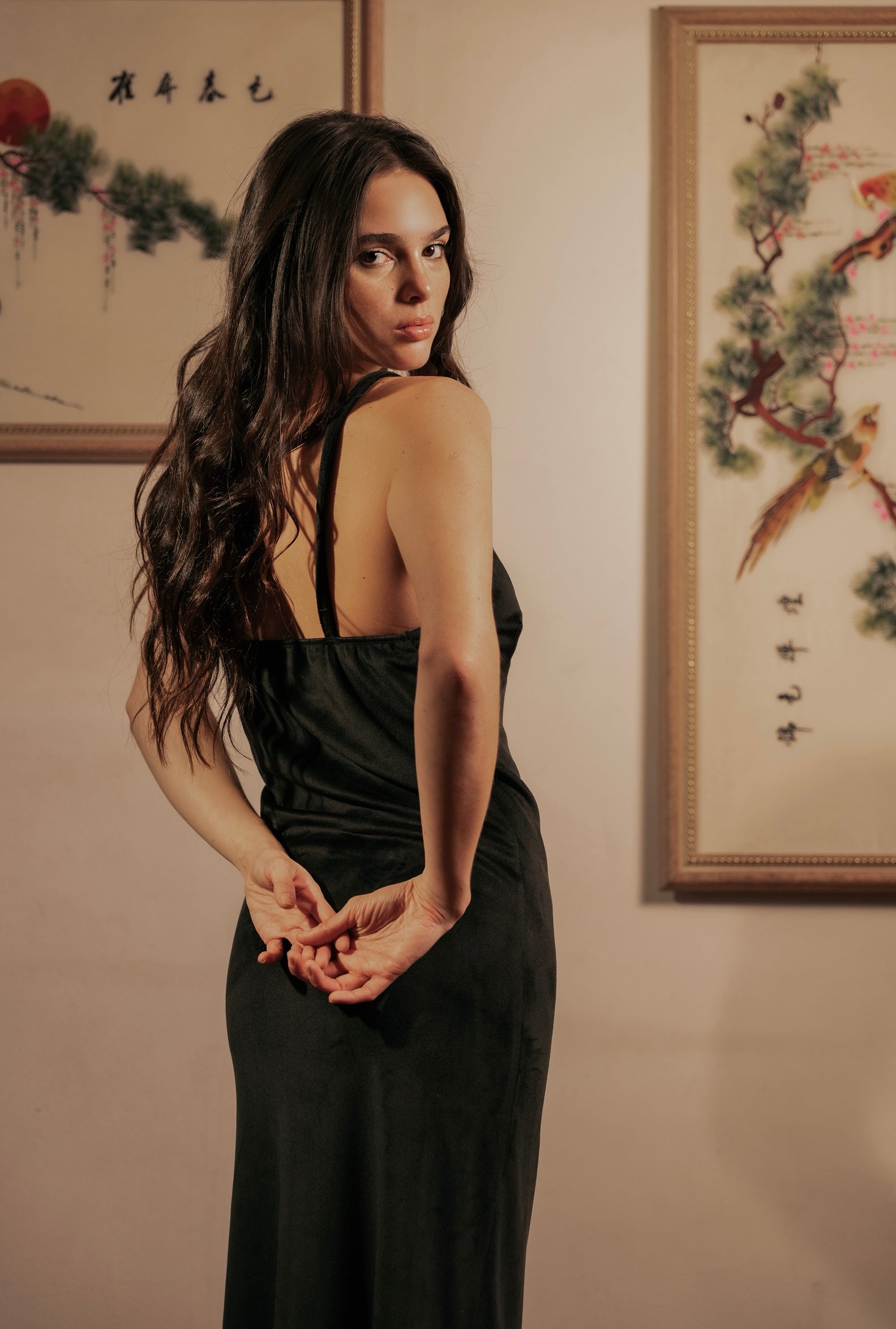 Velvet Nightgown