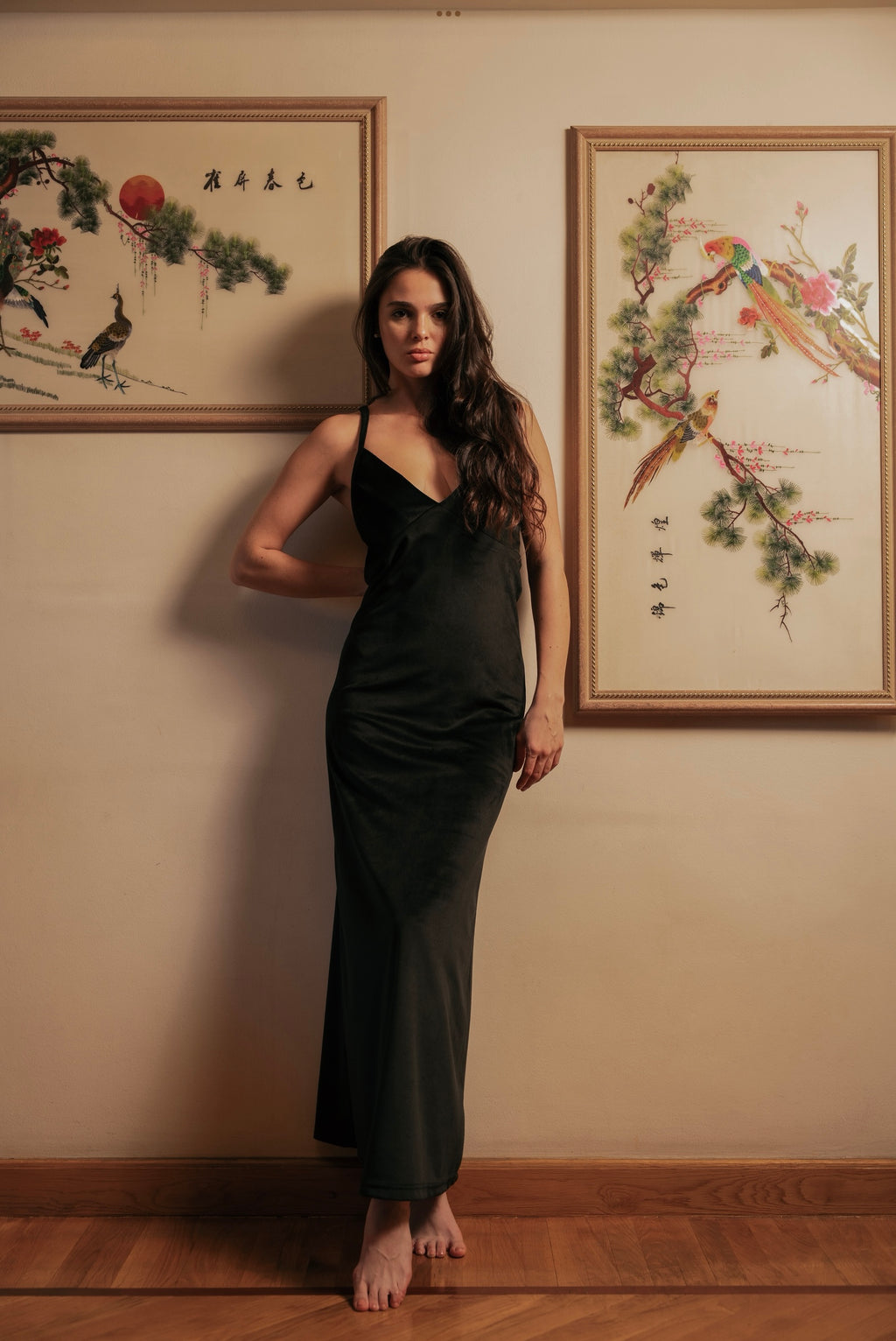 Velvet Nightgown